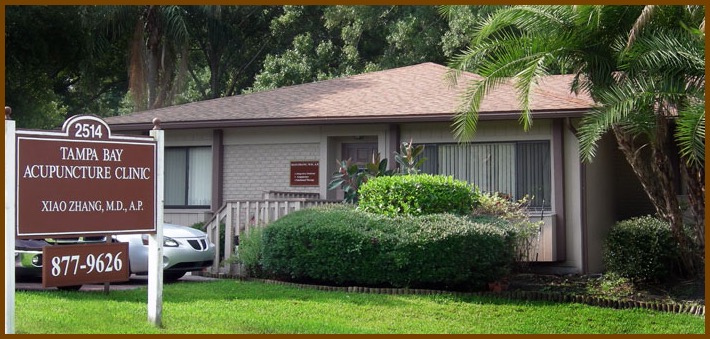 Street view Tampa Bay Acupuncture Clinic